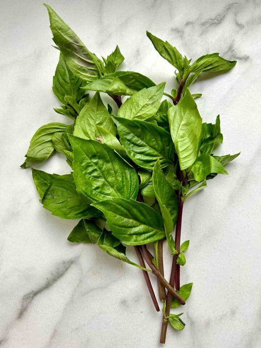 THAI BASIL