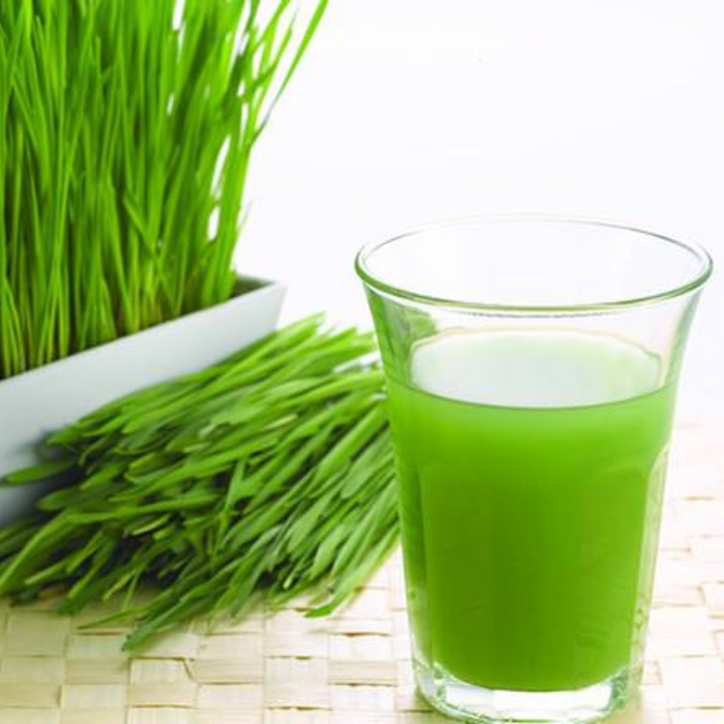 WHEAT GRASS