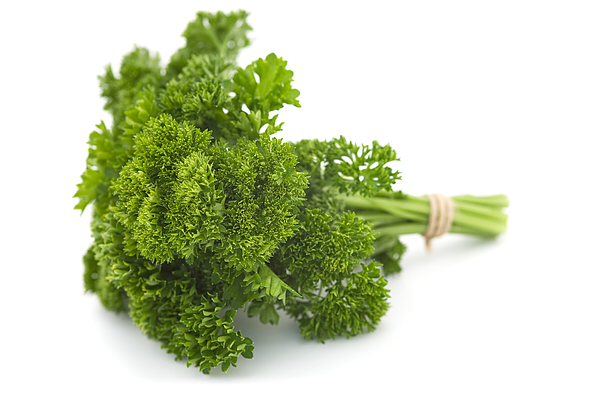 Curl Parsley