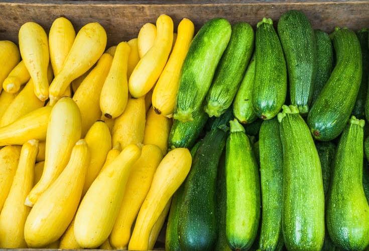 Mixed Zucchini