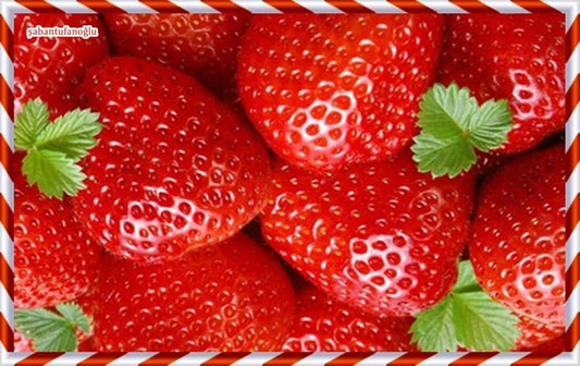 Mahabaleswar Strawberry