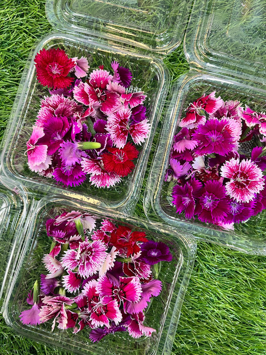 Edible Flower