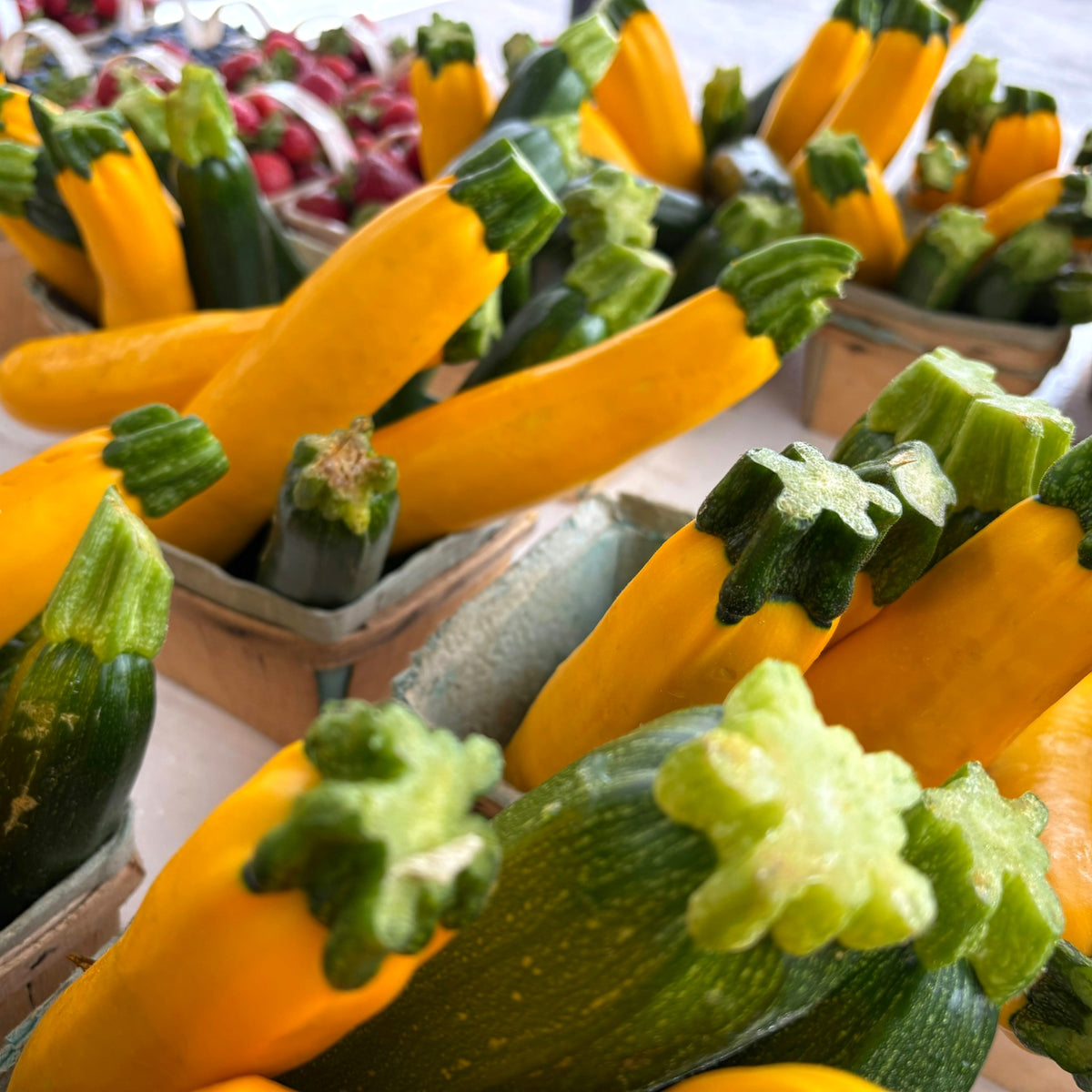Fresh green and yellow zucchini, FreshBliss