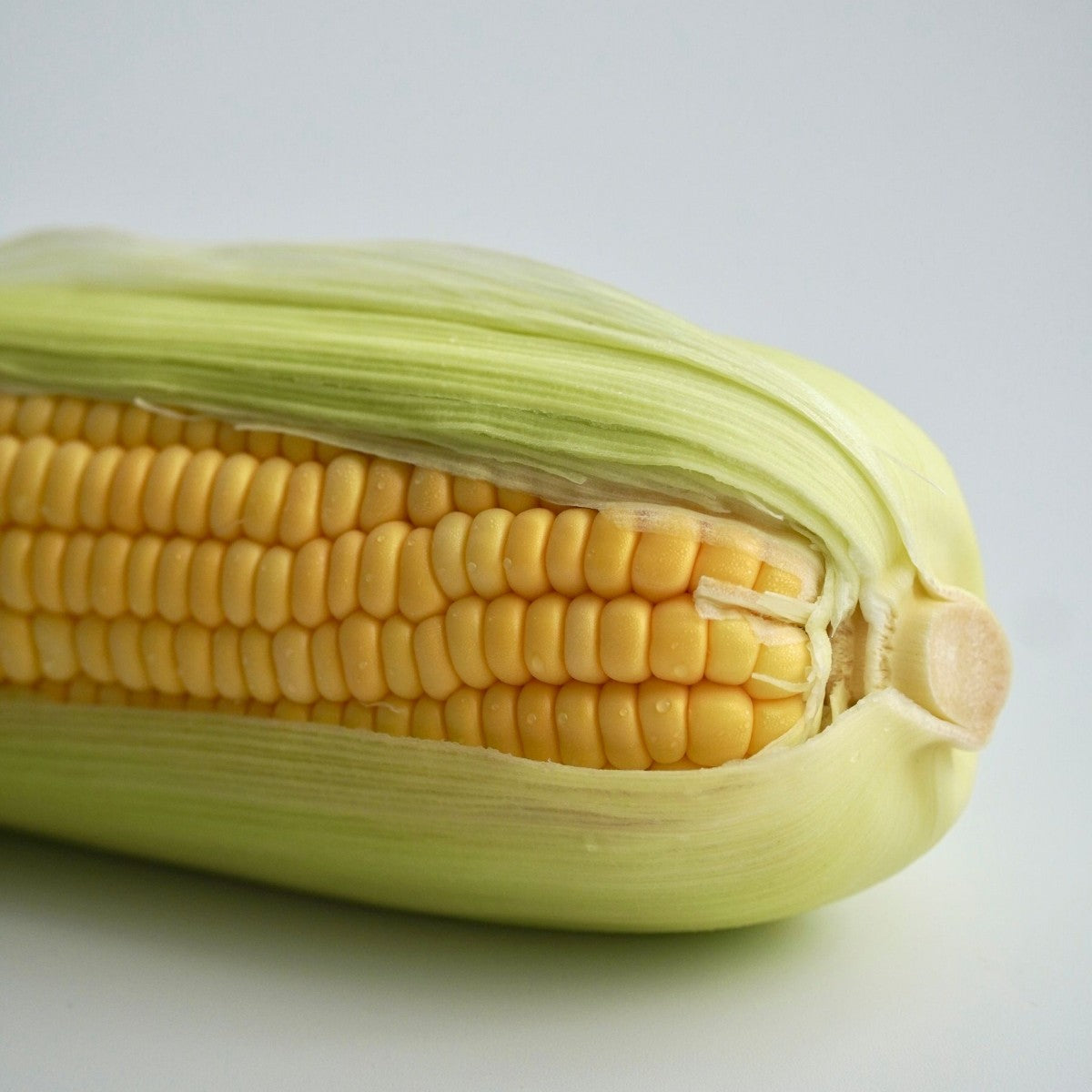 Sweet Corn