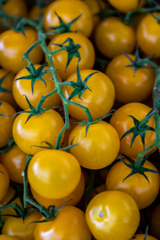 Yellow Cherry Tomato