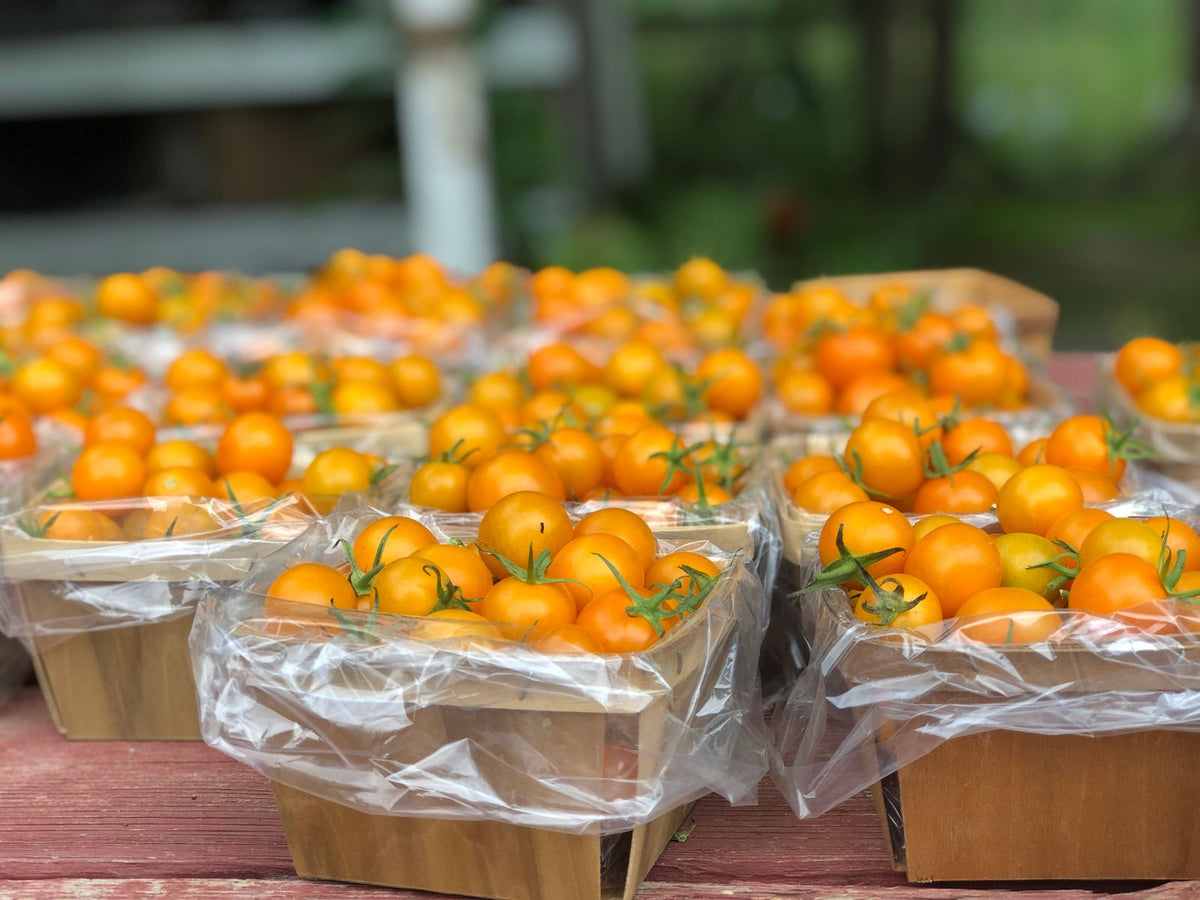 Yellow Cherry Tomato