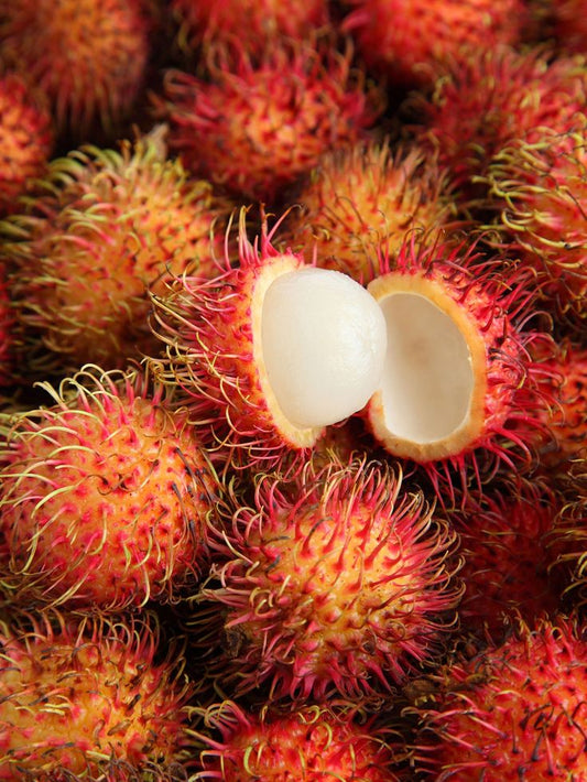 RAMBUTAN