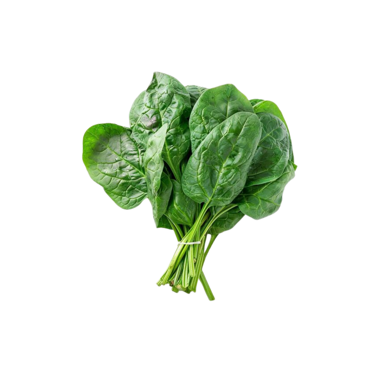 SPINACH