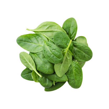 BABY SPINACH