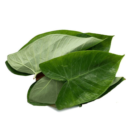 PATRA LEAF
