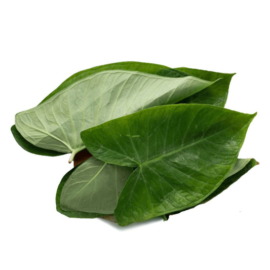 PATRA LEAF