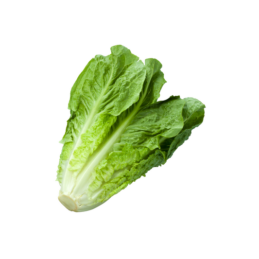 ROMAINE LETTUCE