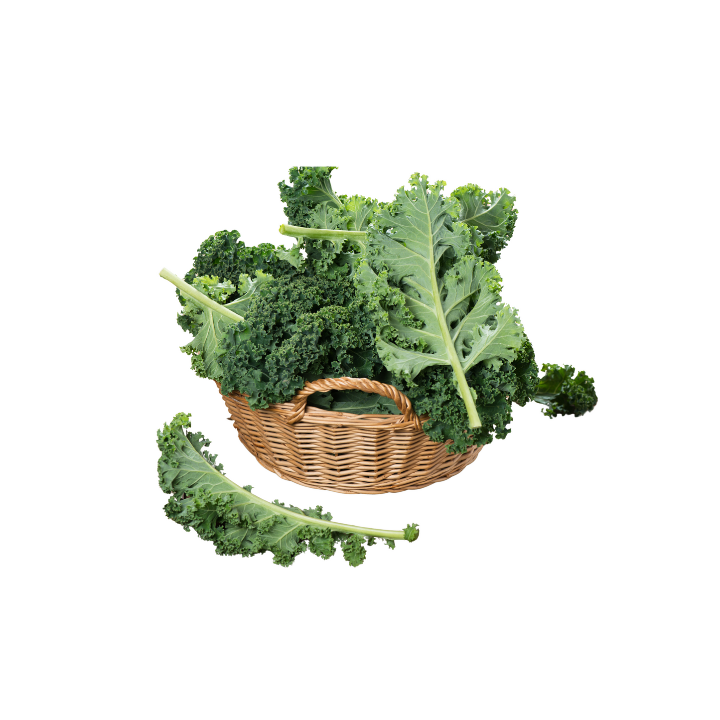 KALE