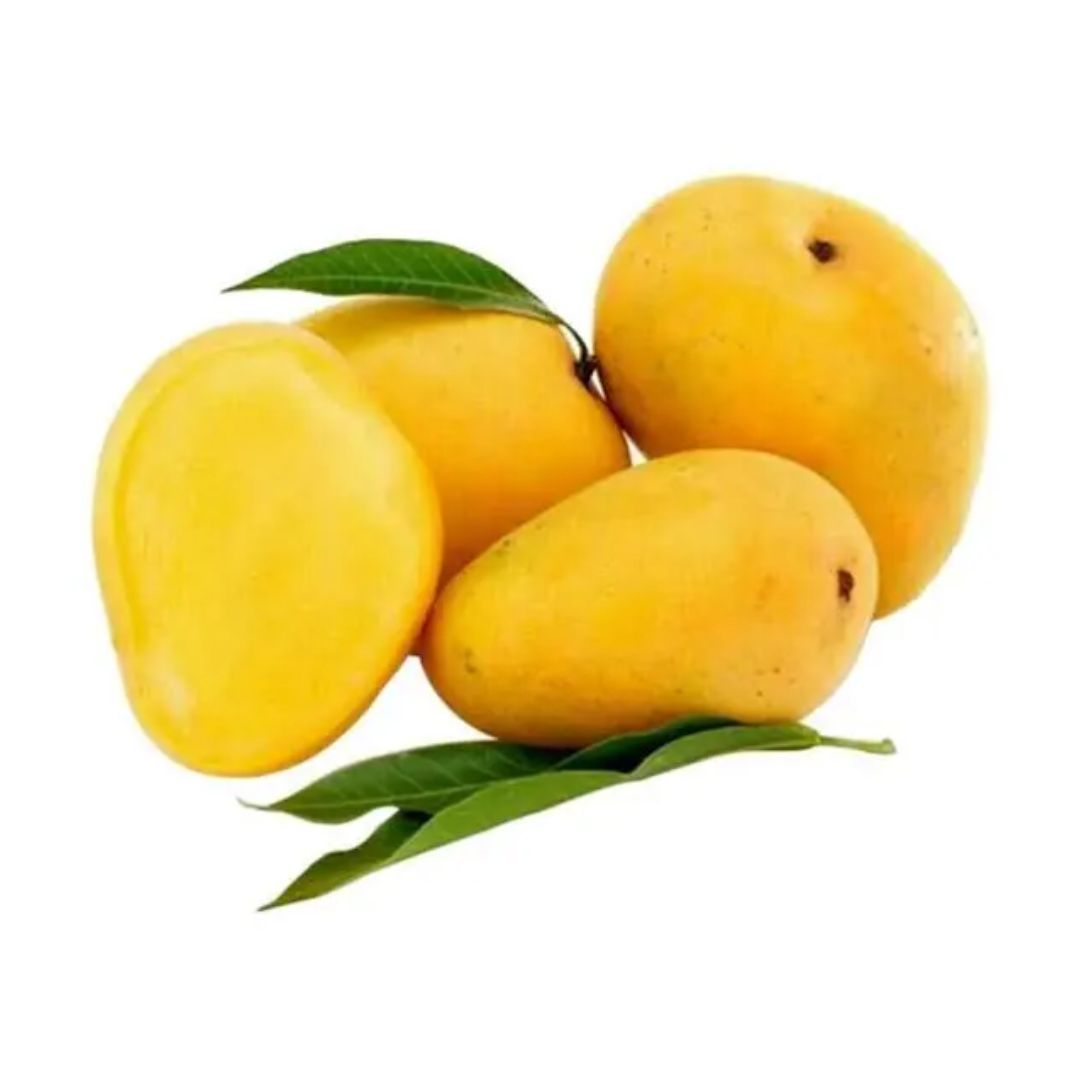 BANGANAPALLI MANGO