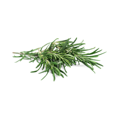 ROSEMARY