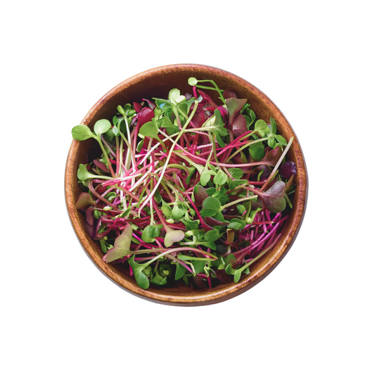 MICROGREENS