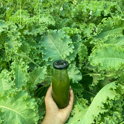KALE