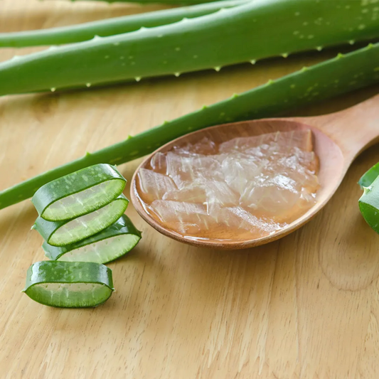 ALOE VERA