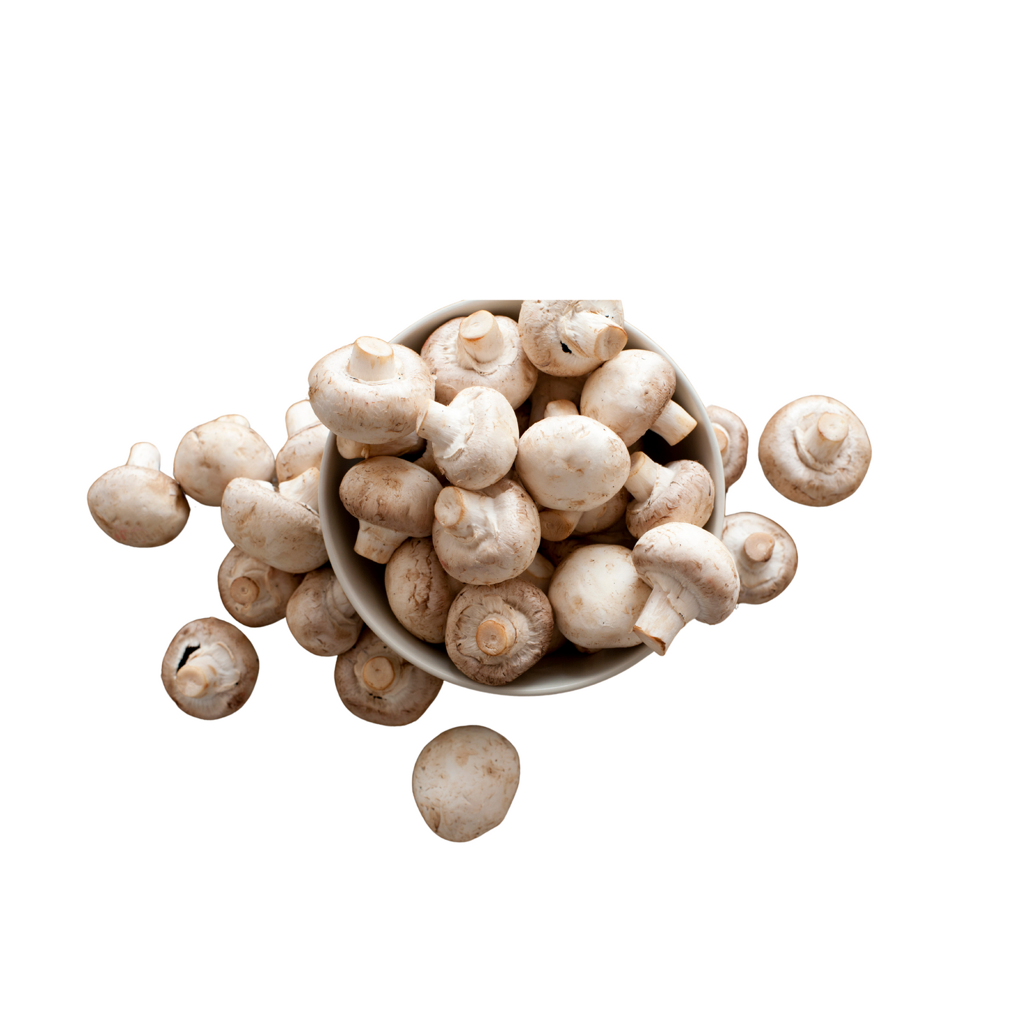 BUTTON MUSHROOMS