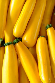 Yellow Zucchini