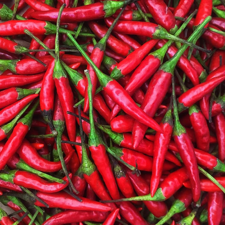 THAI BIRD'S EYE CHILLI
