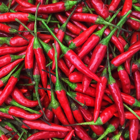 THAI BIRD'S EYE CHILLI