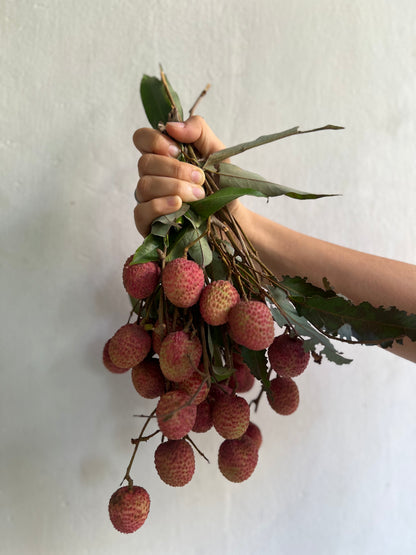 LYCHEE