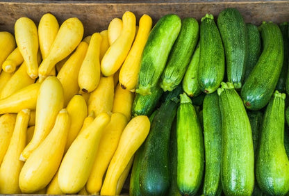 Mixed Zucchini
