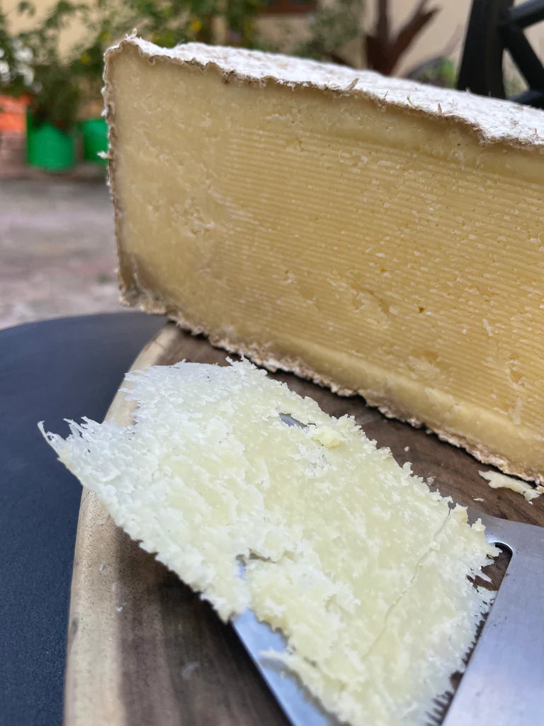 THE SIGNATURE PARMESAN