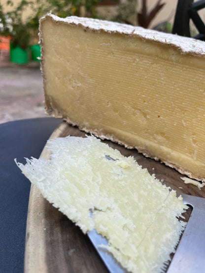 THE SIGNATURE PARMESAN