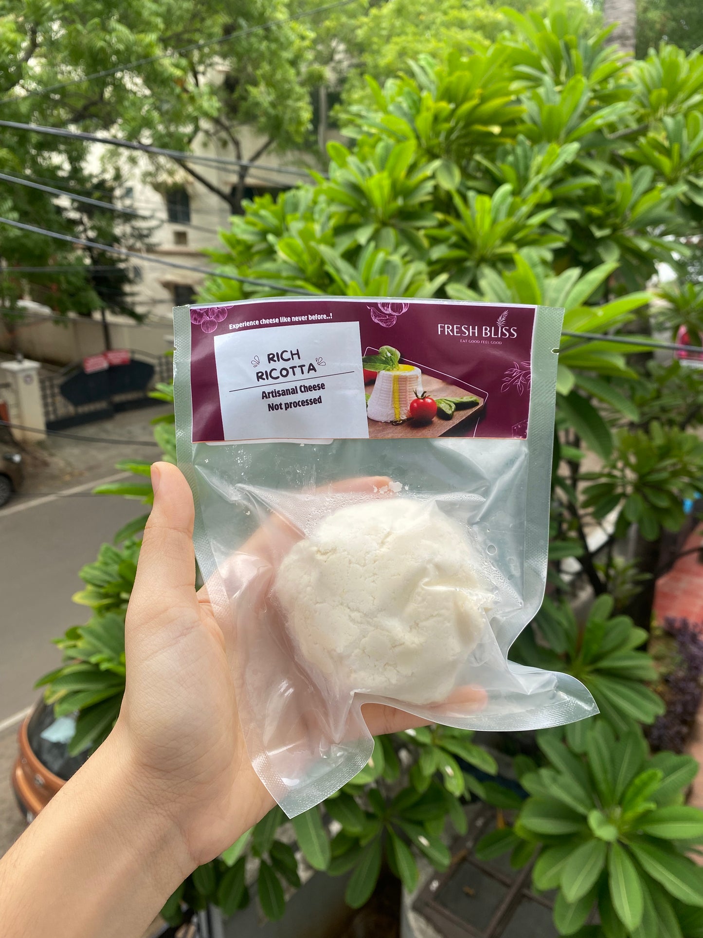 RICH RICOTTA