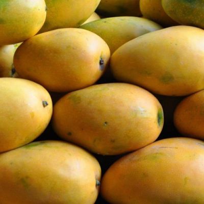 BANGANAPALLI MANGO