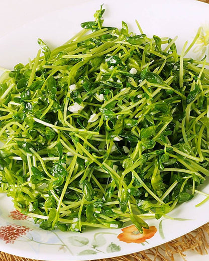 Pea Shoot Microgreens
