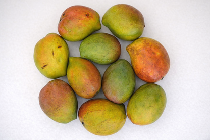 PEETHAR MANGO
