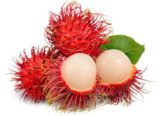 RAMBUTAN