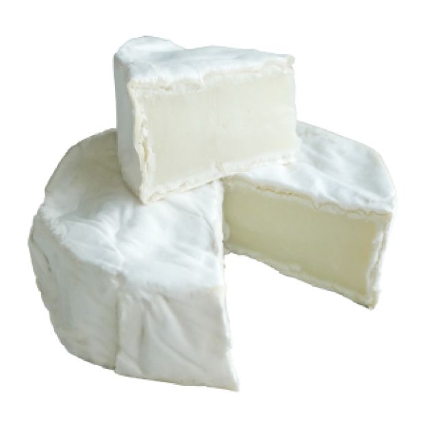 GOURMET GOAT CHEESE JAR