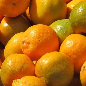 NAGPUR ORANGES