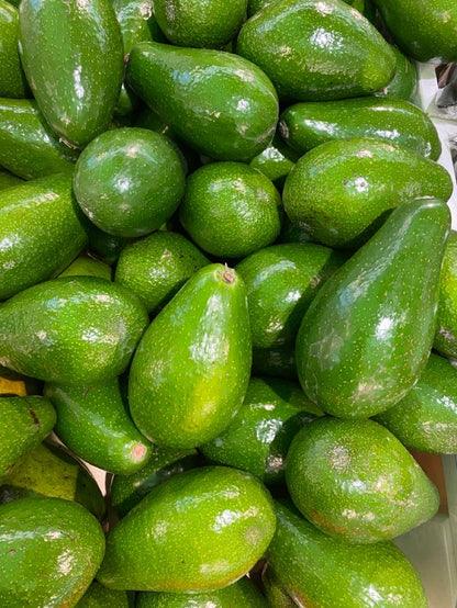 Indian Avocado