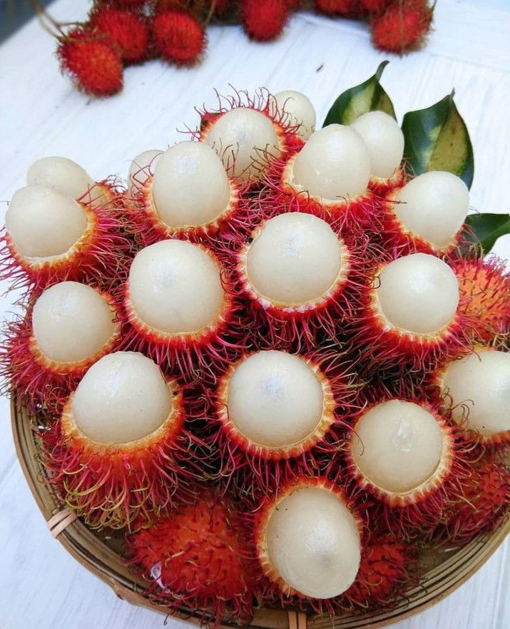 RAMBUTAN