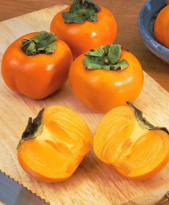 PERSIMMON