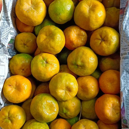NAGPUR ORANGES