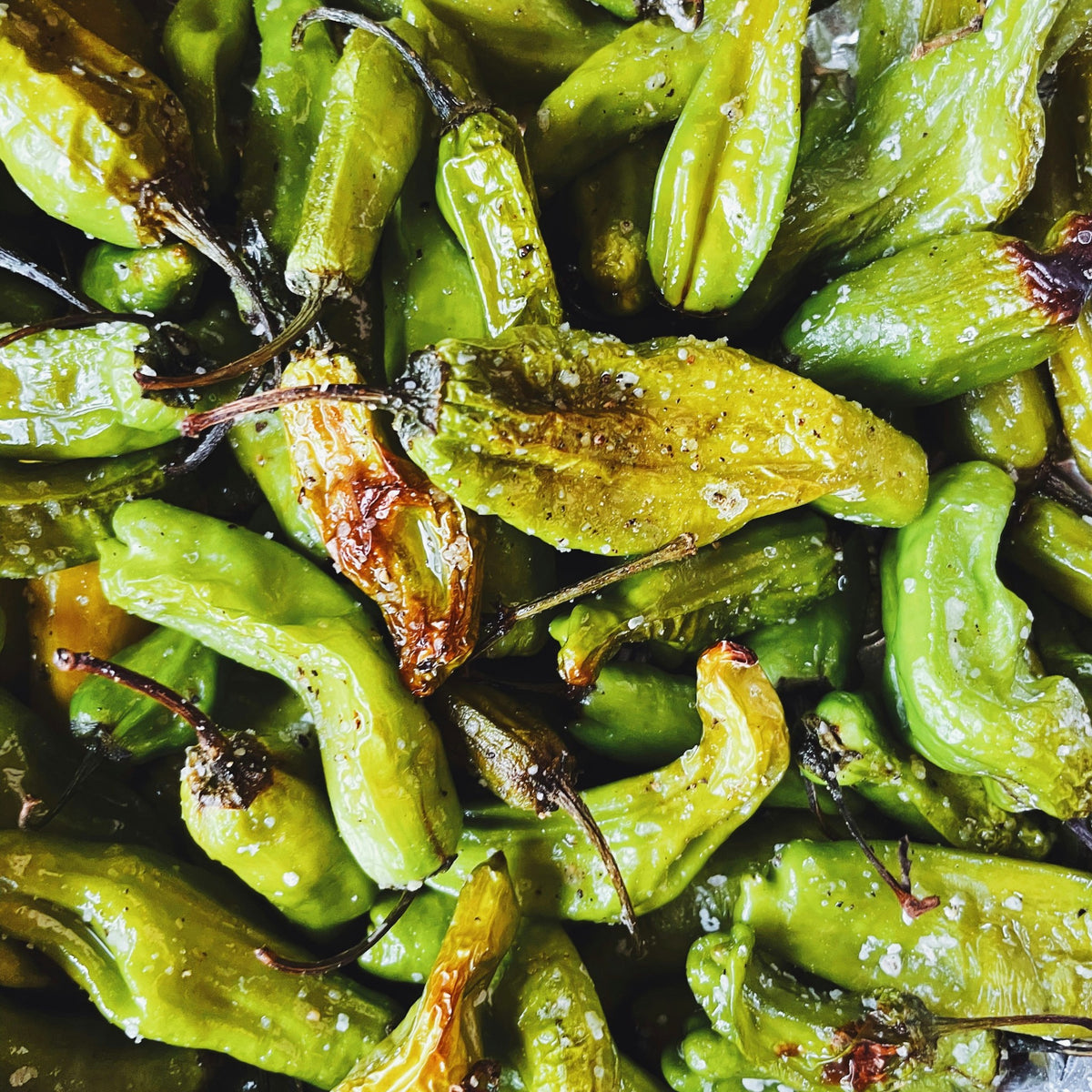 Blistered green peppers