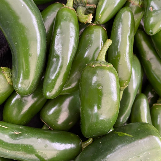 Jalapeno
