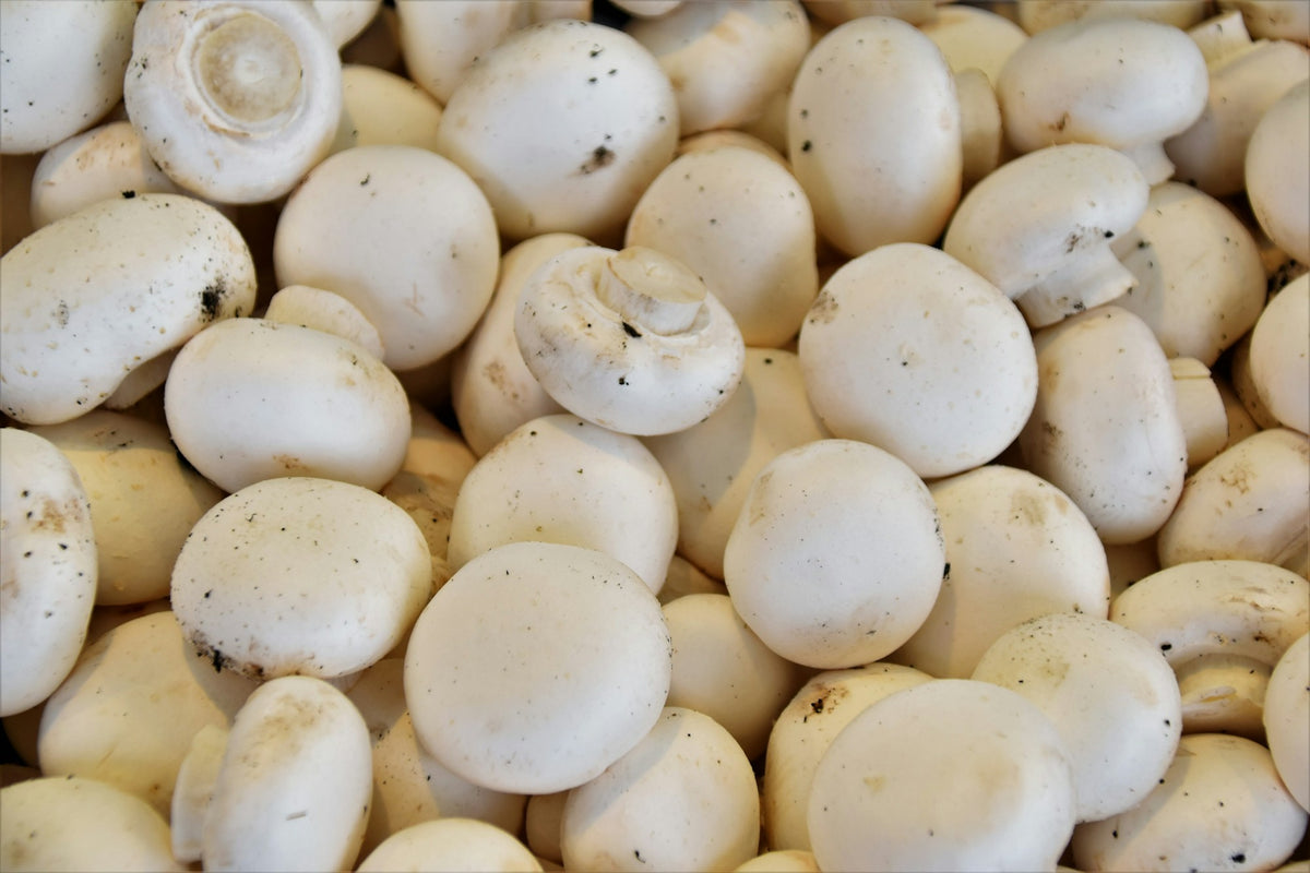 Button mushrooms