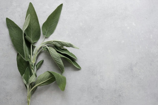 Sage
