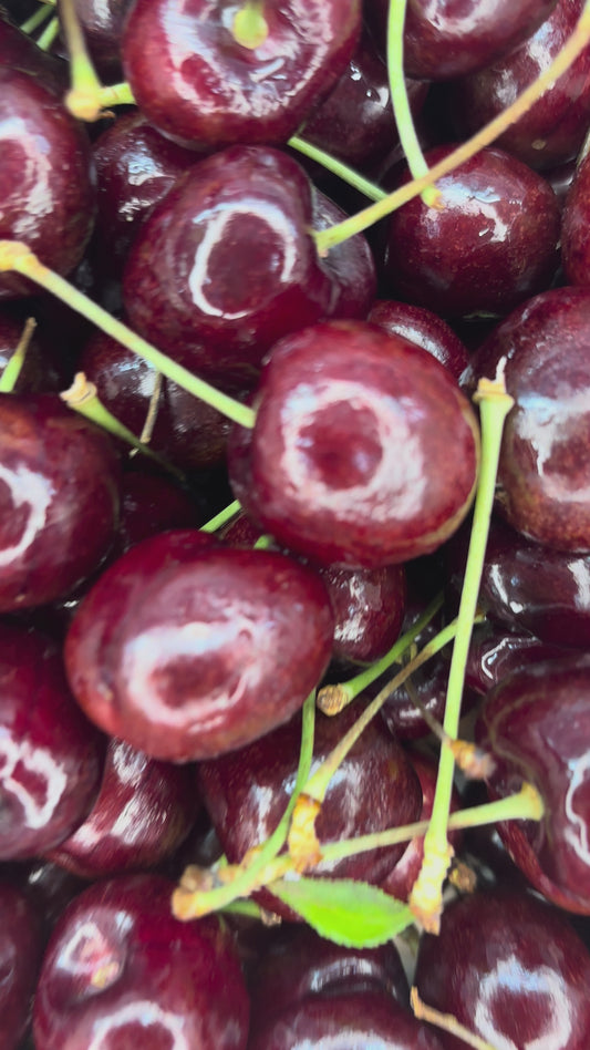 Cherry