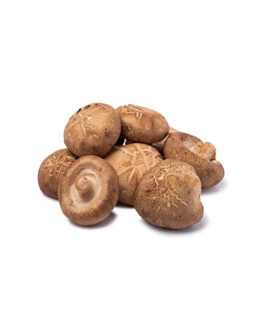Shiitake Mushroom