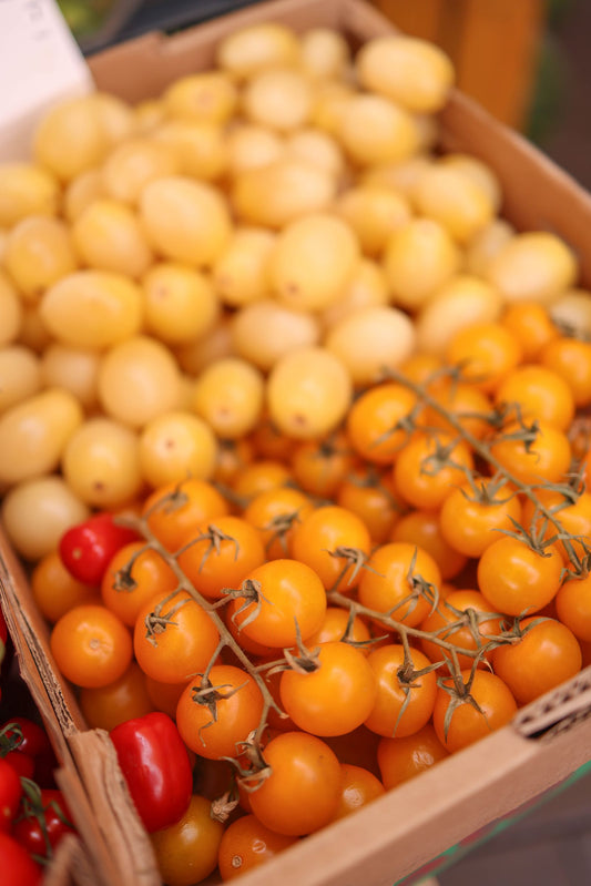Yellow Cherry Tomato